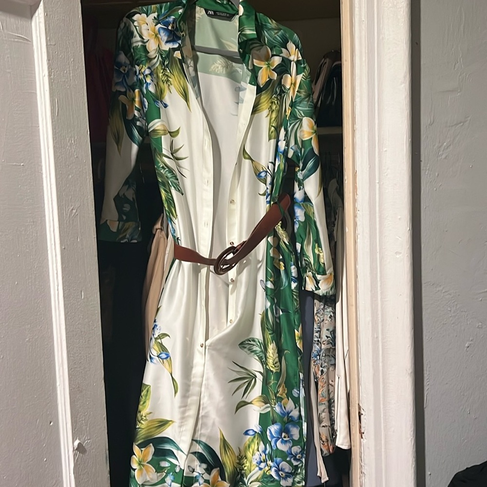 Zara dress